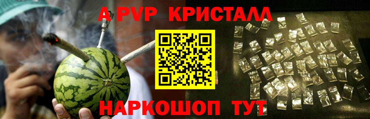 Альфа ПВП СК Светлоград