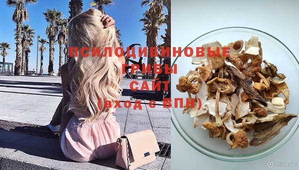 шишки Алексин