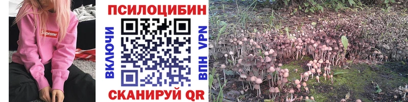KRAKEN рабочий сайт  Светлоград  Галлюциногенные грибы Psilocybe 