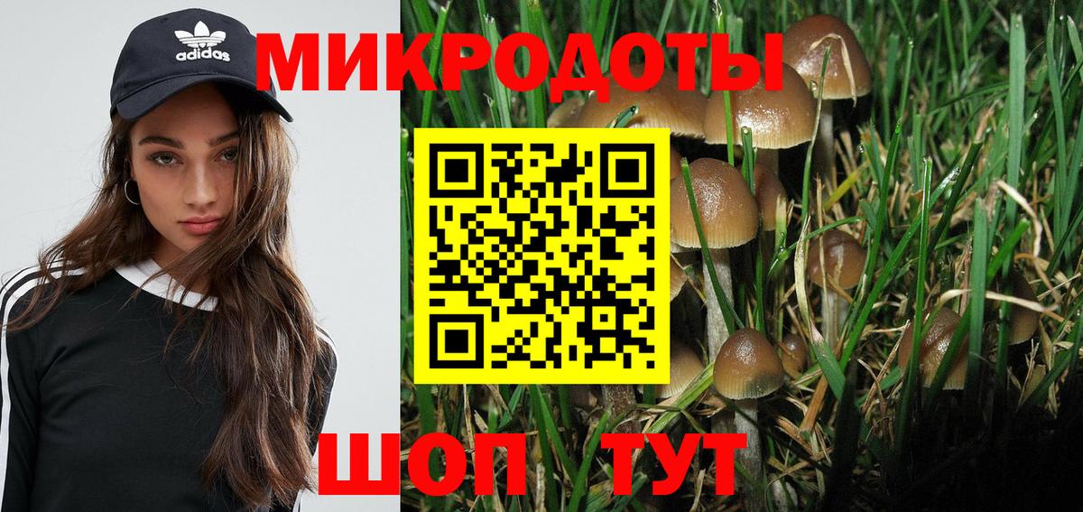 Светлоград  закладка  Вход с VPN  Псилоцибиновые грибы мухоморы 