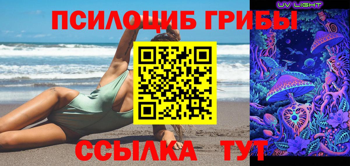 Галлюциногенные грибы Psilocybine cubensis Светлоград